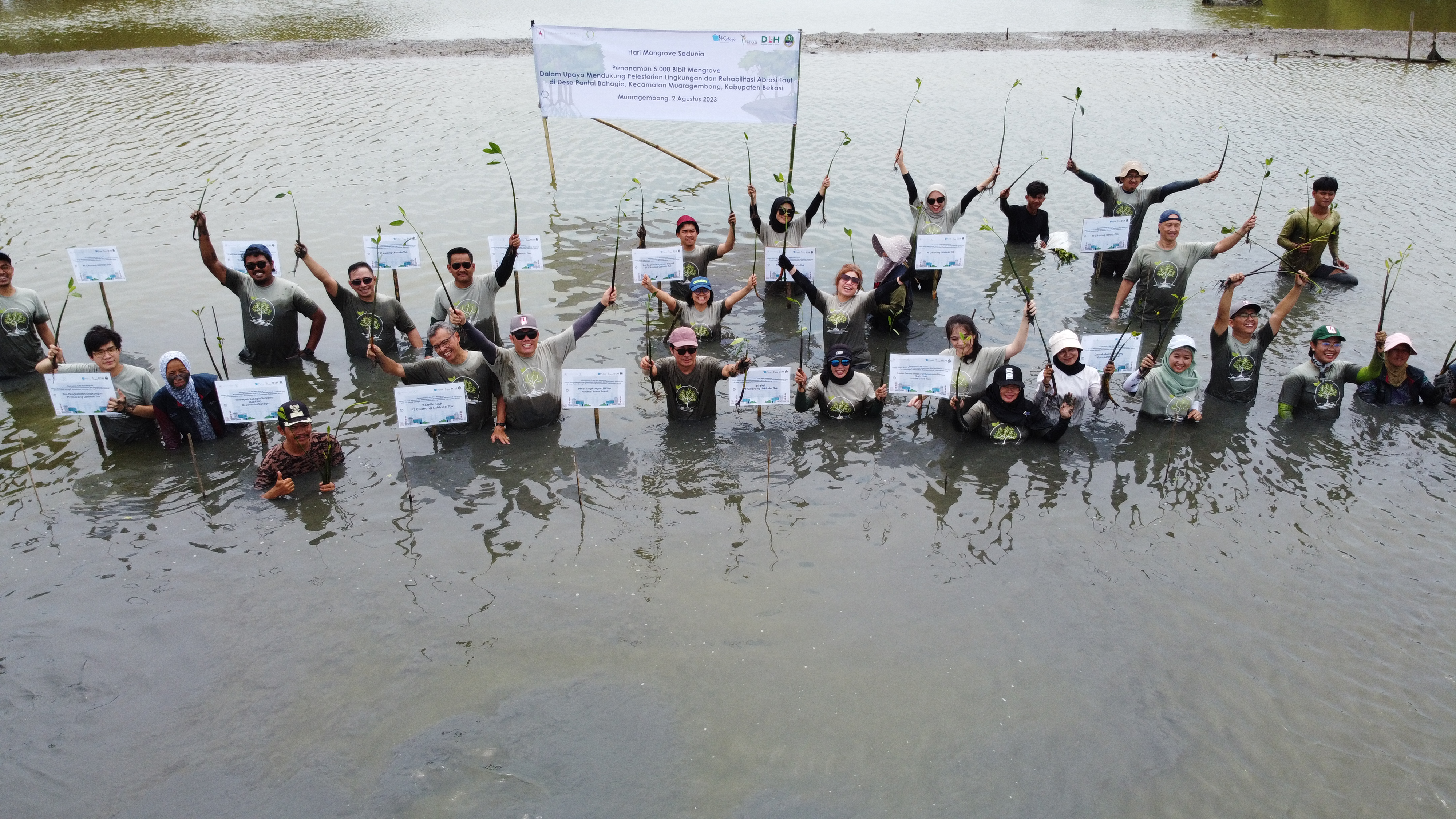 Program CSR Konservasi Mangrove